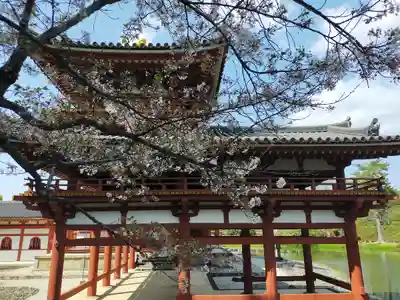 平等院(京都府)