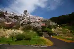 長谷寺の景色