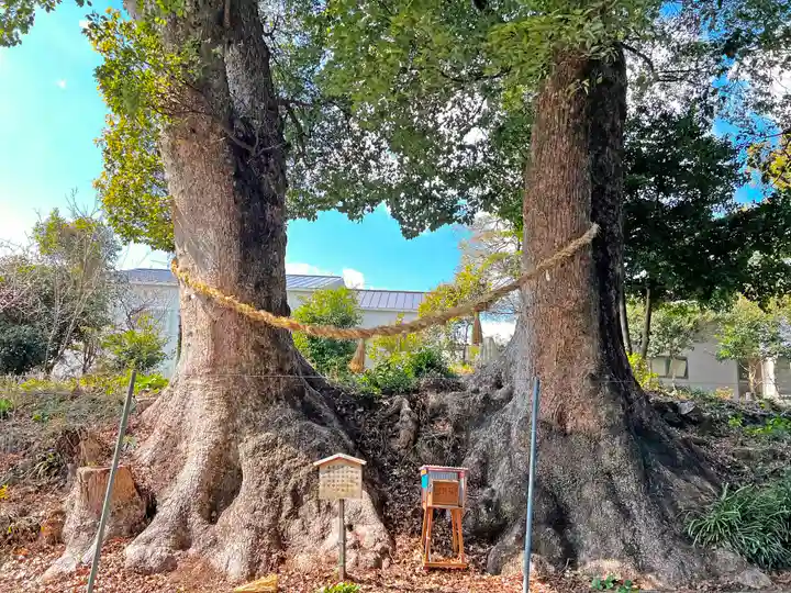 細江神社(静岡県)