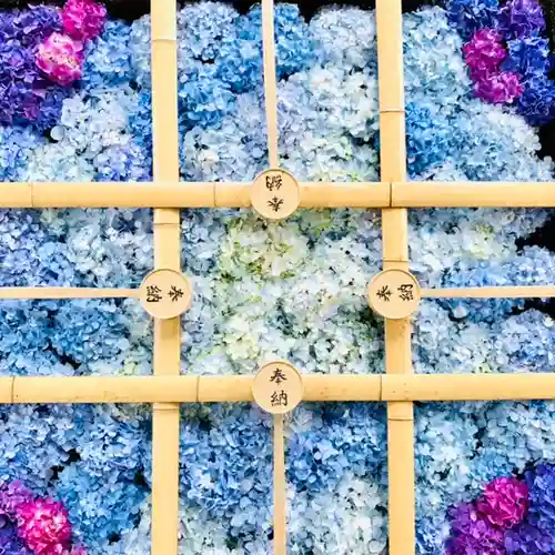 土津神社｜こどもと出世の神さまの手水舎