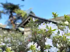 裏木神社の自然