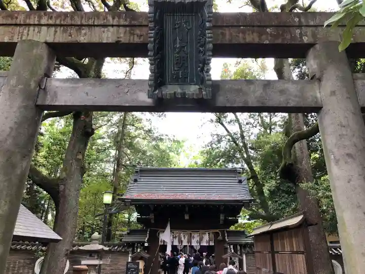 赤坂氷川神社の鳥居