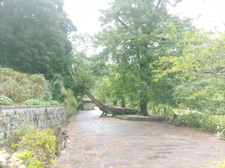 日運寺(千葉県)