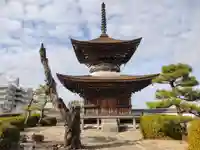 大樹寺(松安院大樹寺)のその他建物