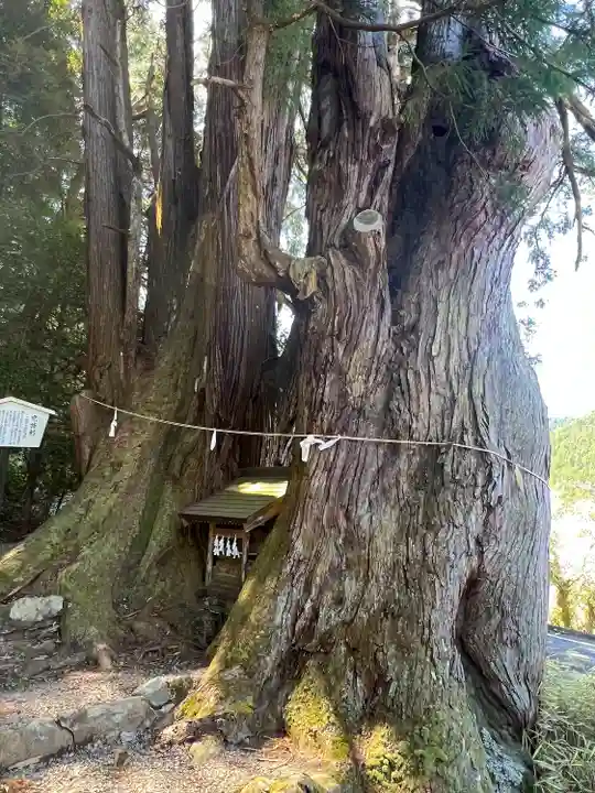 萩日吉神社(埼玉県)