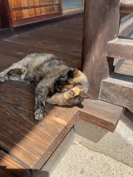 大仙寺(岐阜県)