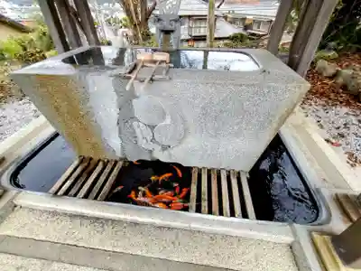宇和津彦神社(愛媛県)