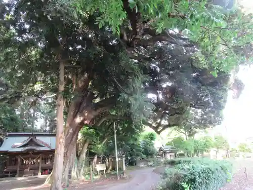 笠原神社(茨城県)