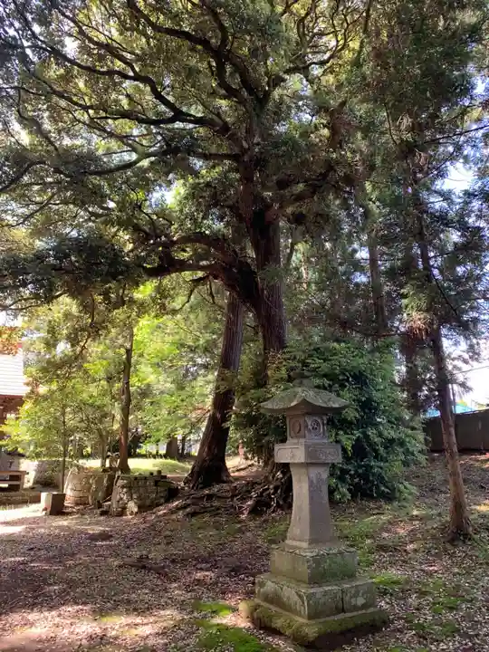 天神社(千葉県)