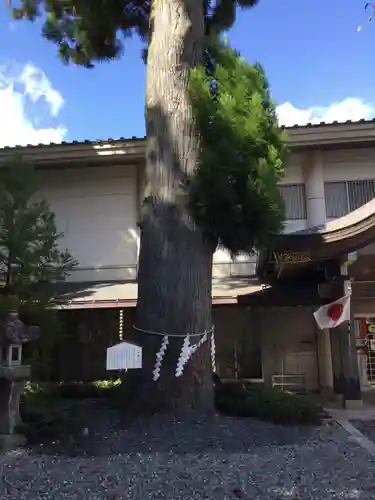 富士山東口本宮 冨士浅間神社の庭園