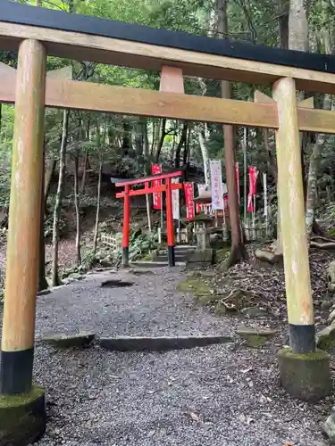 出雲大神宮の鳥居