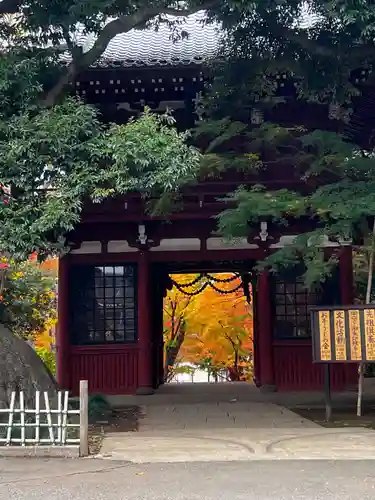 本土寺の山門・神門
