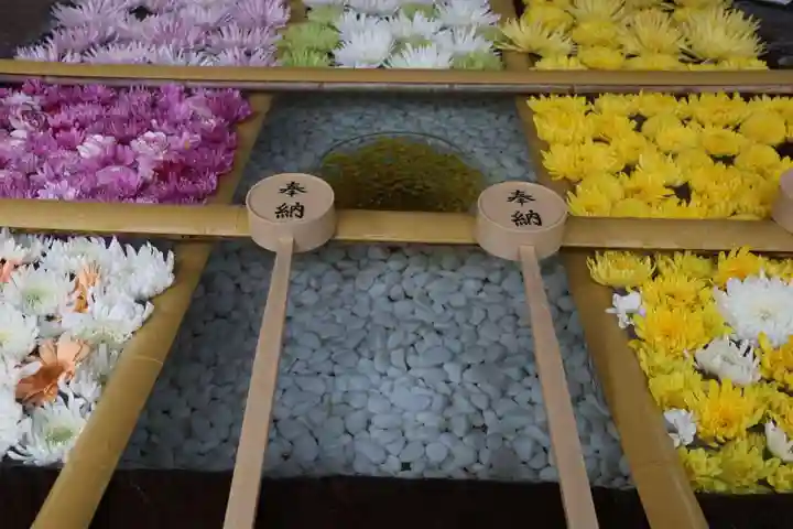 土津神社|こどもと出世の神さまの手水舎