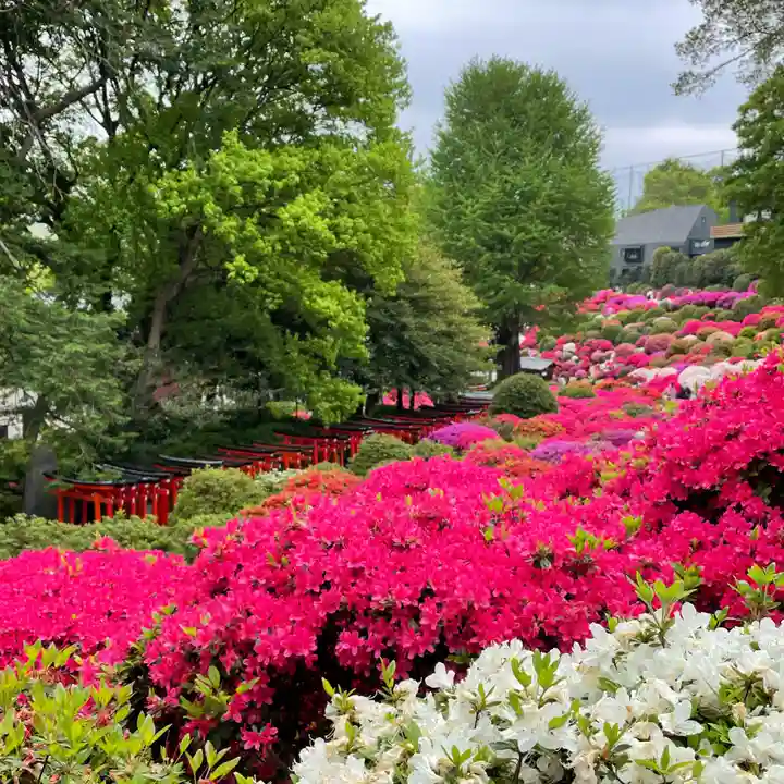 根津神社の自然