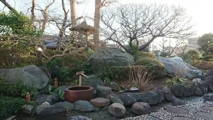 養源寺の庭園