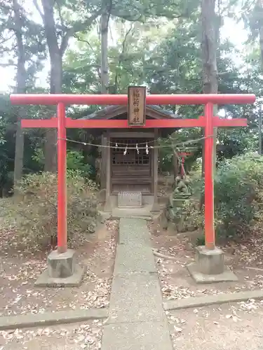 冨士浅間神社(埼玉県)