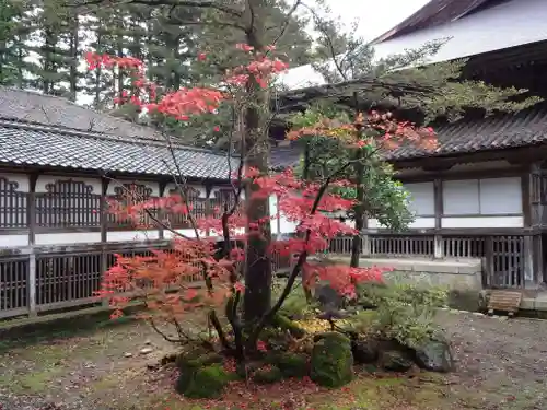 井波別院瑞泉寺の自然