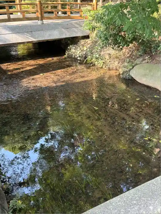 新発田諏訪神社(新潟県)