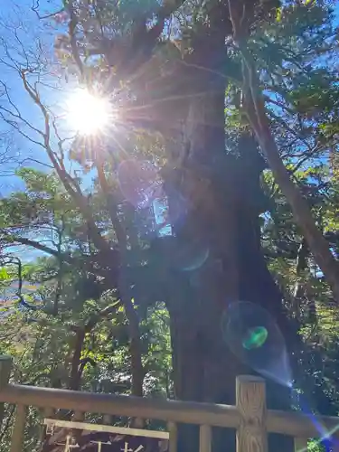 木魂神社(鹿児島県)
