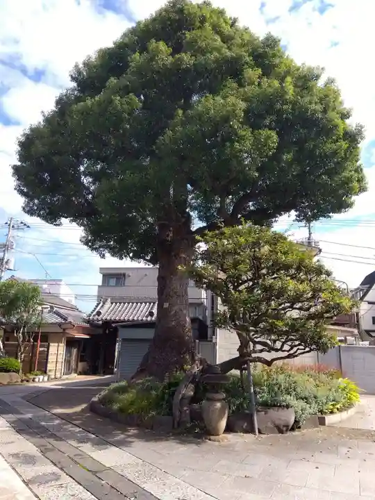 観音寺(東京都)
