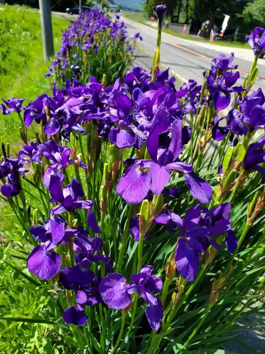 高司神社〜むすびの神の鎮まる社〜(福島県)