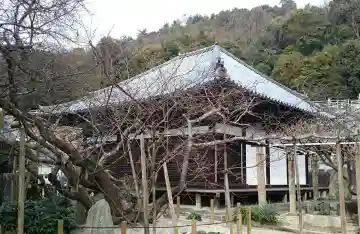 大宝寺の本殿・本堂