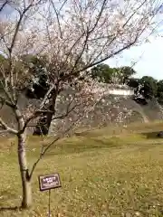 明治神宮(東京都)