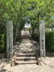 報恩寺の山門