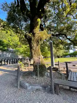 岐阜信長神社（橿森神社境内摂社）(岐阜県)