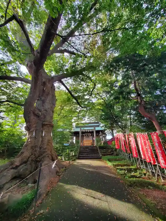 愛宕神社(福島県)
