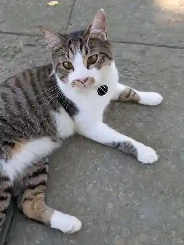 正一位 若草稲荷神社(宮城県)