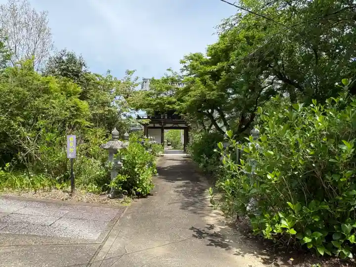 観音寺の{uncategorized: "未分類", other: "その他", undefined: "問題あり", building: "その他建物", grave: "お墓", sacred_gate: "鳥居", guardian: "狛犬", statue: "像", buddha: "仏像", history: "歴史", nature: "自然", garden: "庭園", animal: "動物", pagoda: "塔", temizu: "手水舎", mountain_gate: "山門・神門", sanctuary: "本殿・本堂", subordinate: "末社・摂社", art: "芸術", scenery: "景色", jizo: "地蔵", ema: "絵馬", goshuin: "御朱印", omikuji: "おみくじ", items: "授与品その他", amulet: "お守り", goshuincho: "御朱印帳", eats: "食事", festival: "お祭り", votive_dance: "神楽", shichigosan: "七五三参", wedding: "結婚式", experience: "体験その他", initially: "初詣", around: "周辺", anti_infection: "感染症対策"}
