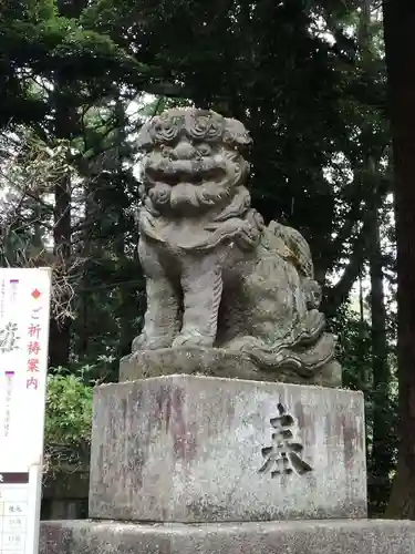 間々田八幡宮の狛犬