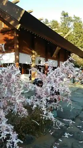 櫻木神社(千葉県)