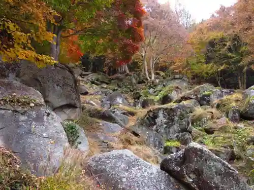 栖雲寺の庭園