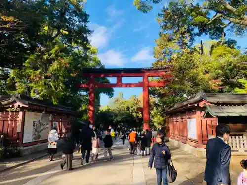 武蔵一宮氷川神社(埼玉県)