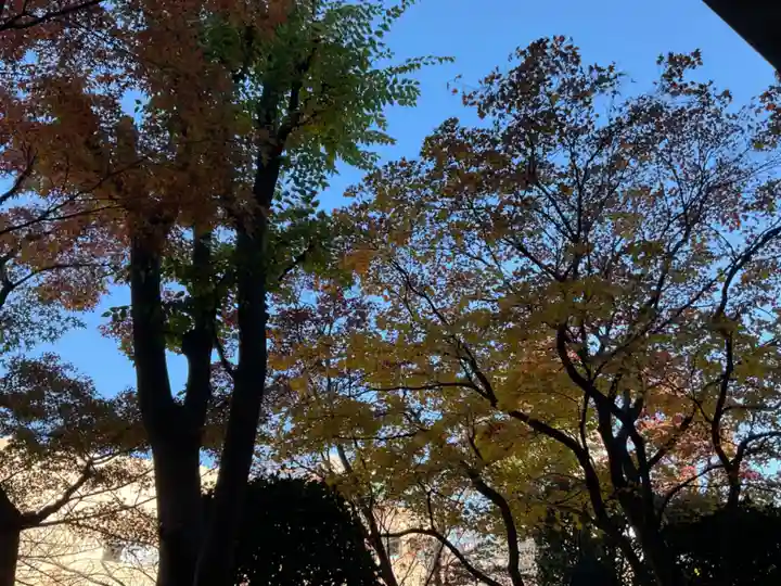 金剛寺(東京都)