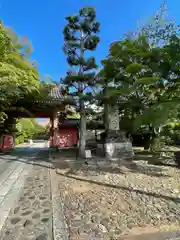 真正極楽寺（真如堂）(京都府)