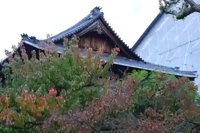 大念佛寺(大阪府)