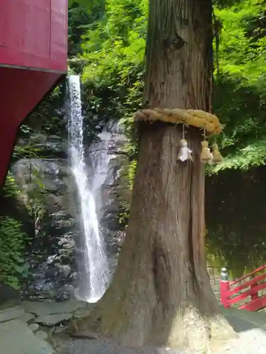 大正寺(中野不動尊)(福島県)