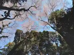 鷲宮神社の建物その他