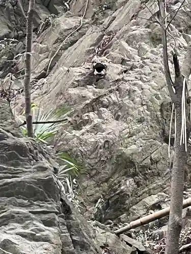佐志能神社(茨城県)
