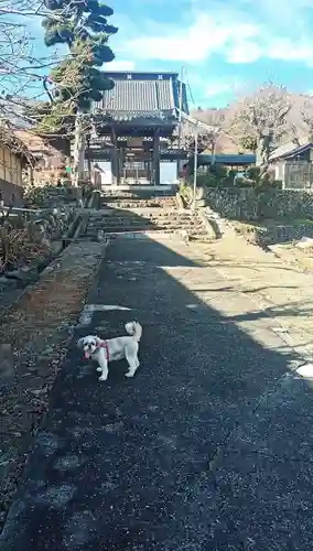 常泉寺の建物その他