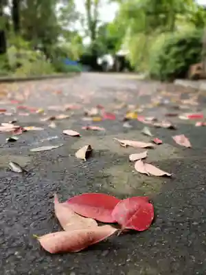 蓮華寺(東京都)
