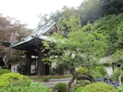 海蔵寺(神奈川県)