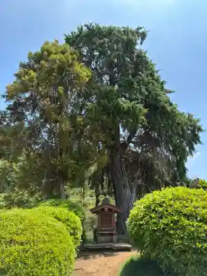 白山神社(千葉県)