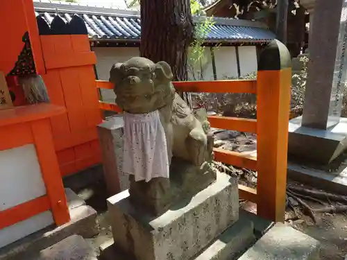 船玉神社（住吉大社摂社）の狛犬