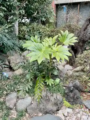 梅林寺(東京都)