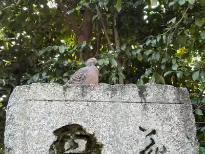金福寺(京都府)