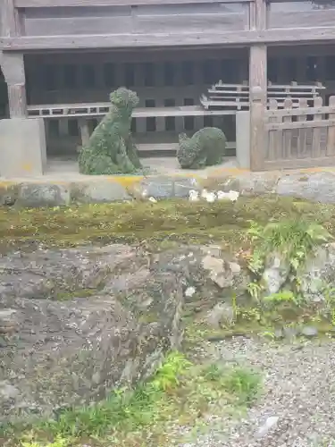 大渕寺の狛犬